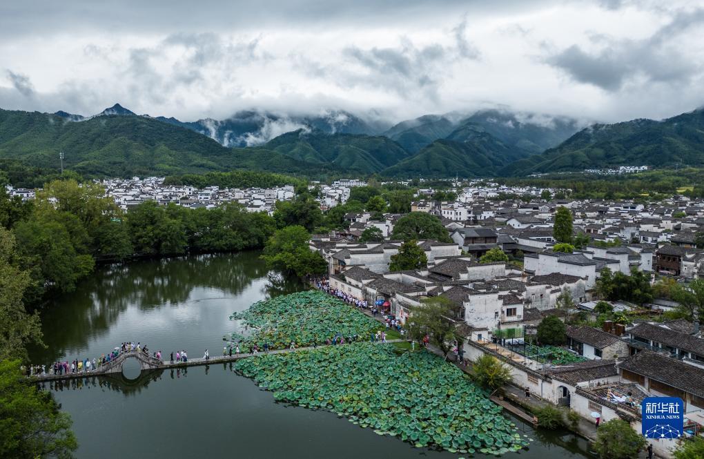 跳槽彩金的平台有哪些